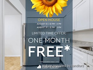 Image ViT 231061