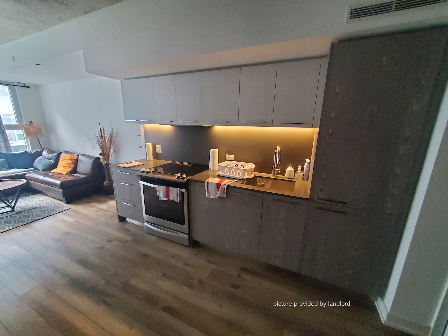 For rent BroadviewQueen Toronto, 1 bdrm Viewit 231550