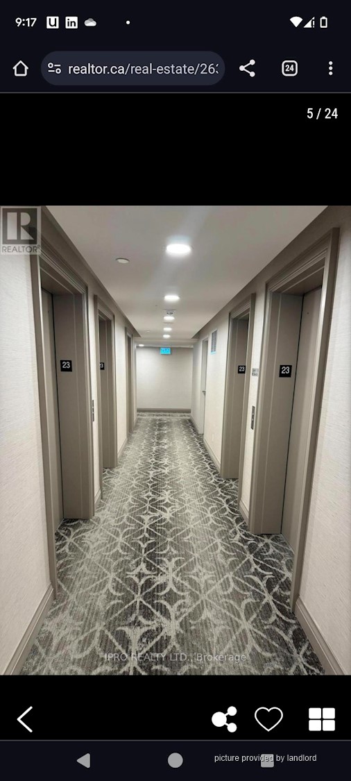 For rent 36 Elm Drive Mississauga, 1 bdrm Viewit 231818