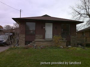 Image ViT 232023