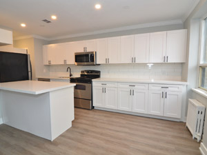 1 Bedroom apartment for rent in TORONTO 