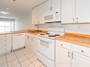 Image ViT 232547
