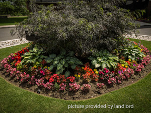 2 Bedroom apartment for rent in Toronto