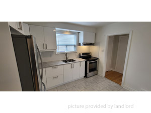 Image ViT 232686