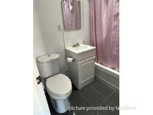Image ViT 232736