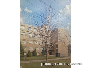 Image ViT 232789