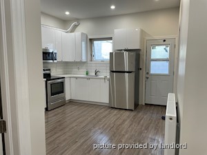 Image ViT 232932