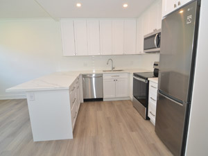 1 Bedroom apartment for rent in YORK   
