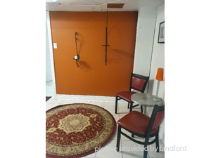 Image ViT 233191