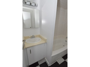 1 Bedroom apartment for rent in TORONTO    