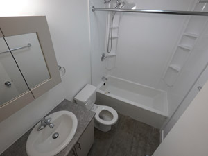 1 Bedroom apartment for rent in WINNIPEG   