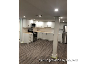 Image ViT 233396