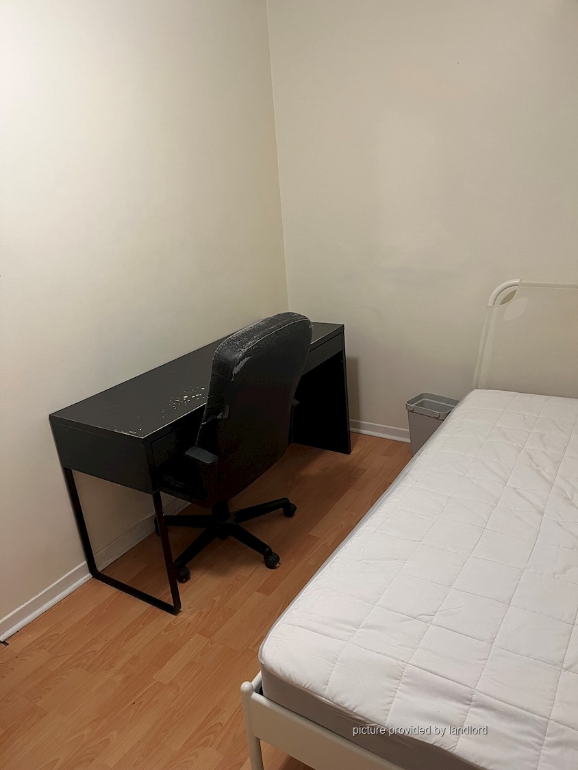 For rent AugustaCollege Toronto, Room Viewit 233935