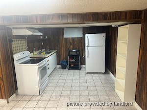 Image ViT 233962
