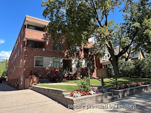 Image ViT 234241