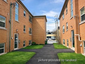 Image ViT 234660