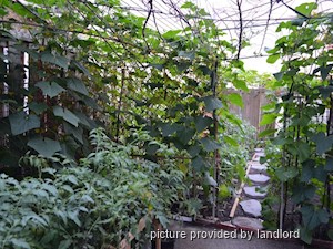 3+ Bedroom apartment for rent in TORONTO