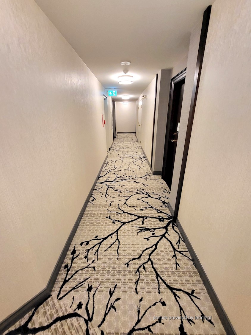 For rent BathurstSheppard Toronto, 3+ bdrm Viewit 235382