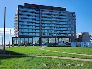 Image ViT 235766