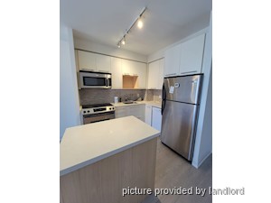 Image ViT 236205