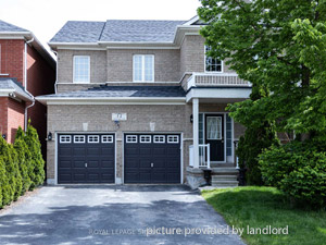 3+ Bedroom apartment for rent in Brampton
