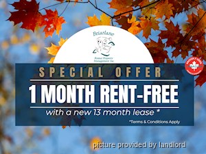 1 Bedroom apartment for rent in TORONTO