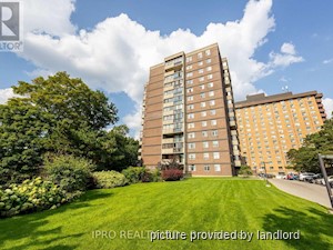 Image ViT 236633