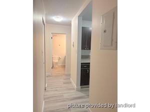 1 Bedroom apartment for rent in Maple Ridge