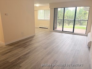 1 Bedroom apartment for rent in Maple Ridge