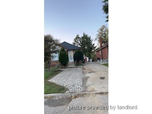 Image ViT 236705