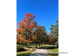 Rental High-rise 16 Cartier Crescent, Richmond Hill, ON