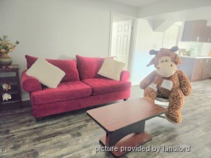 Image ViT 236978