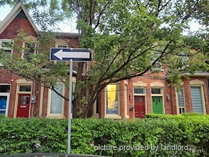 Image ViT 237111