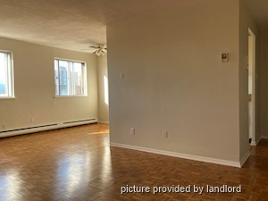 Image ViT 237345