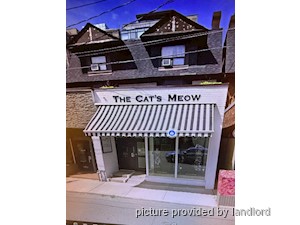 Image ViT 237418