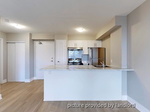 Image ViT 237745