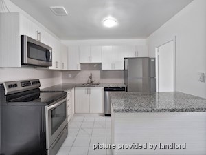 Image ViT 238321