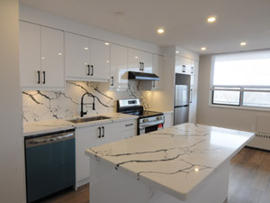 1 Bedroom apartment for rent in TORONTO 