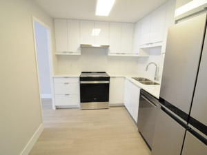 1 Bedroom apartment for rent in TORONTO    