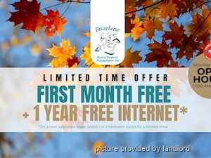 1 Bedroom apartment for rent in Waterloo