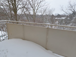 1 Bedroom apartment for rent in Toronto  