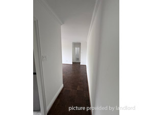 Image ViT 238818
