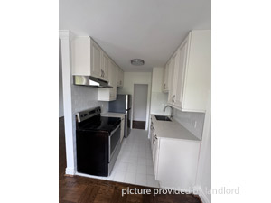 1 Bedroom apartment for rent in TORONTO 