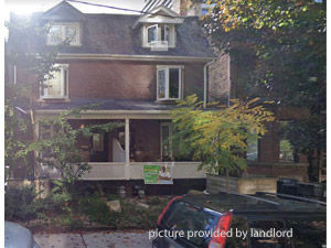 Image ViT 238856