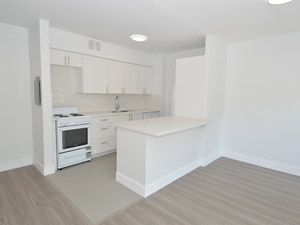1 Bedroom apartment for rent in ETOBICOKE      