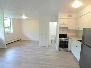 1 Bedroom apartment for rent in TORONTO  