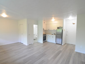 1 Bedroom apartment for rent in TORONTO  