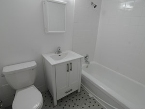 1 Bedroom apartment for rent in TORONTO  