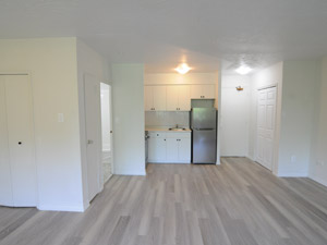 1 Bedroom apartment for rent in TORONTO  