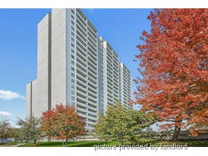 1 Bedroom apartment for rent in TORONTO    